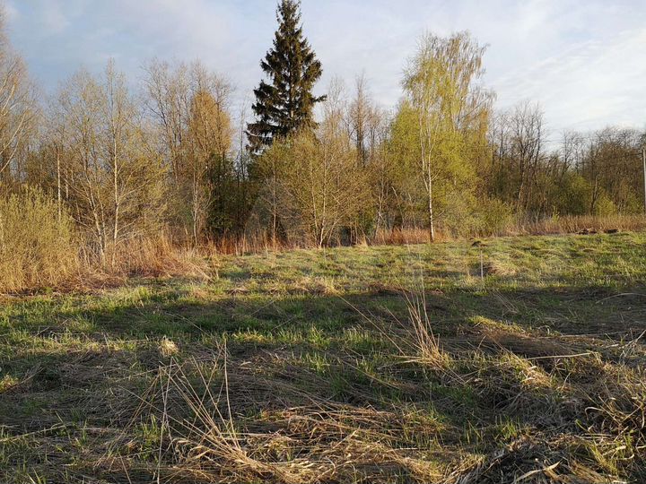 Участок 10 сот. (ИЖС)