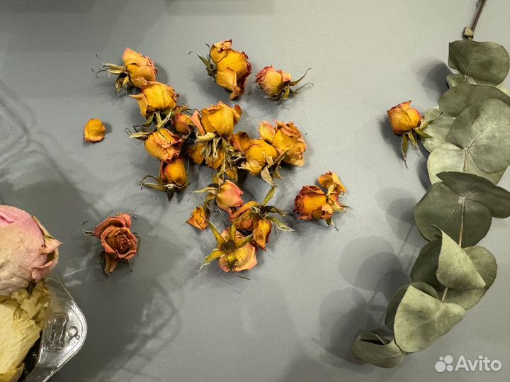 Сухие бутоны роз