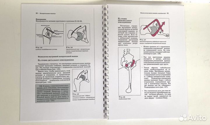 Мышечные цепи Бюске