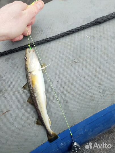 Готовые монтажи на камбалу с подвесками