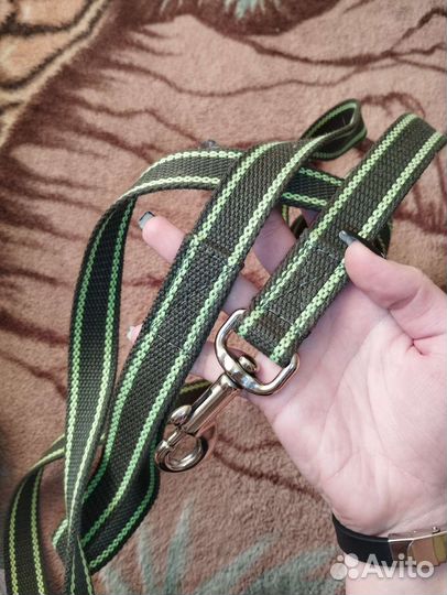 Ошейник и поводок