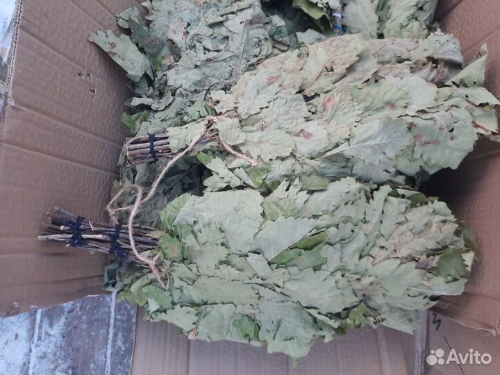 Веник дубовый