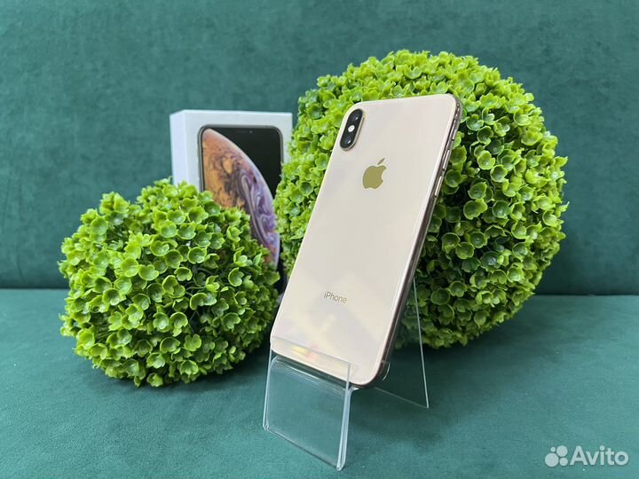 iPhone Xs, 256 ГБ
