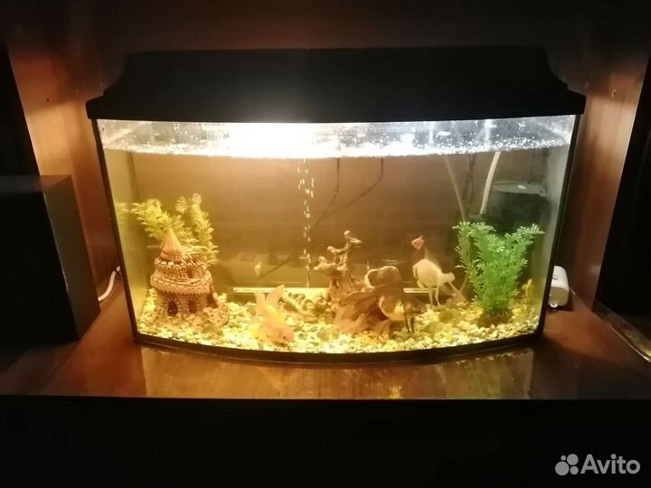 Аквариум 60л