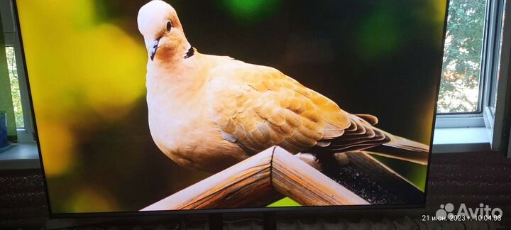 Телевизор Hisense 55AE7400f