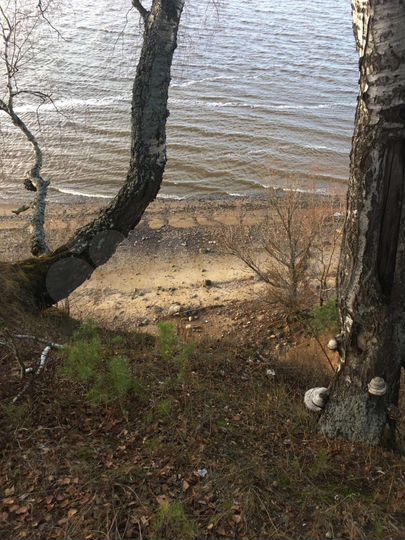 Участок 12 сот. (ИЖС)