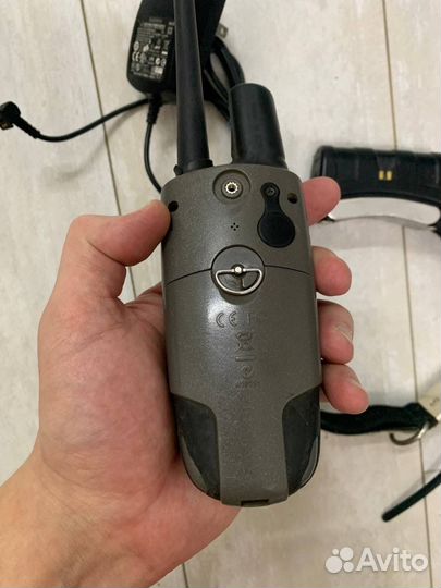 Навигатор garmin astro 220 + ошейник dc 30