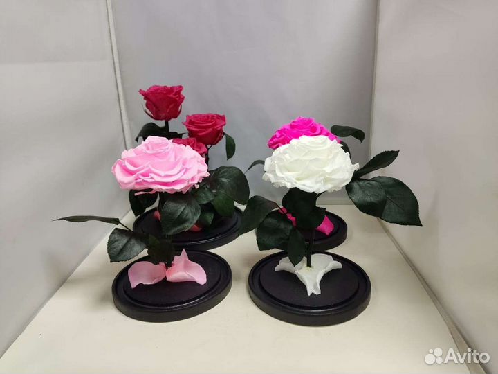 Цветы оптом