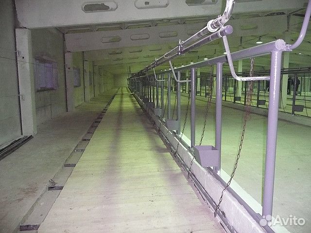 Стойловое содержание и поение крс на 50 голов