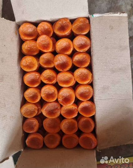 Курага натуральный новый урожай