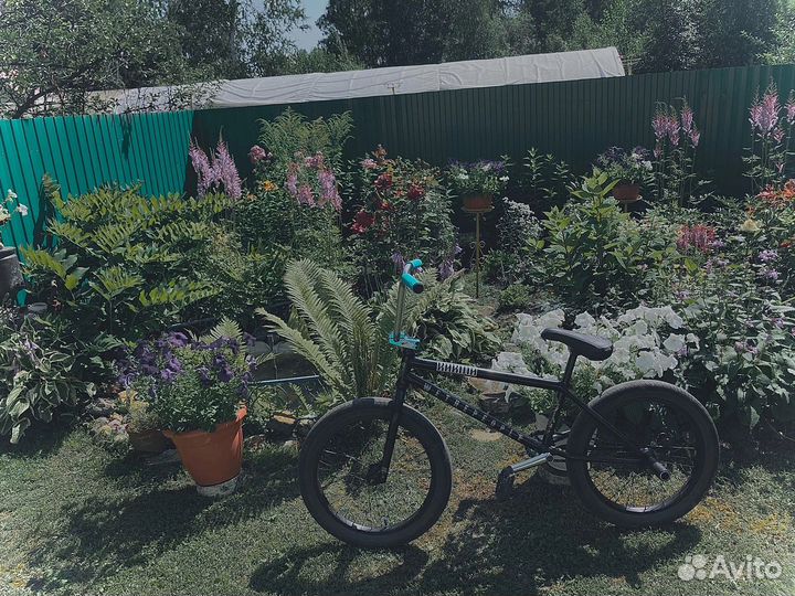 Bmx (wtp crysis 2019)