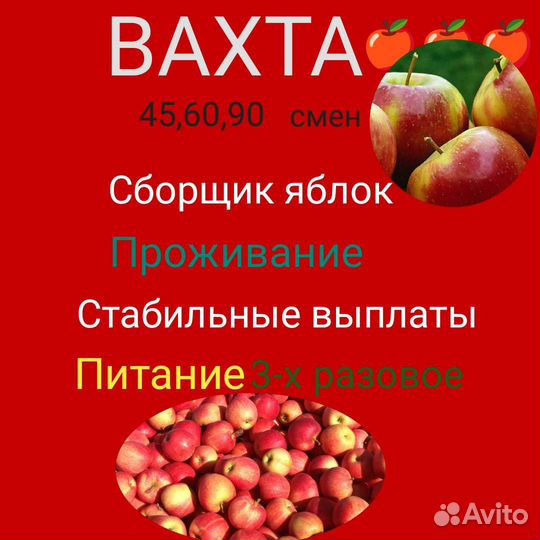 Разнорабочий вахта