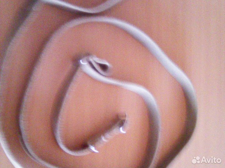 Поводок для крупной собаки