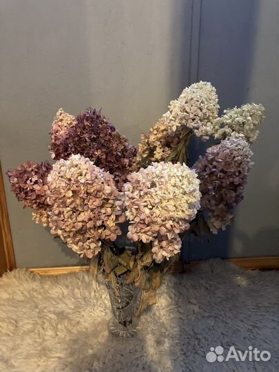 Гортензия букет сухоцвет для интерьера