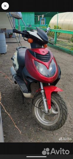 Racer Lupus
