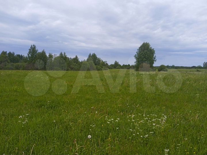 Участок 25 сот. (ИЖС)