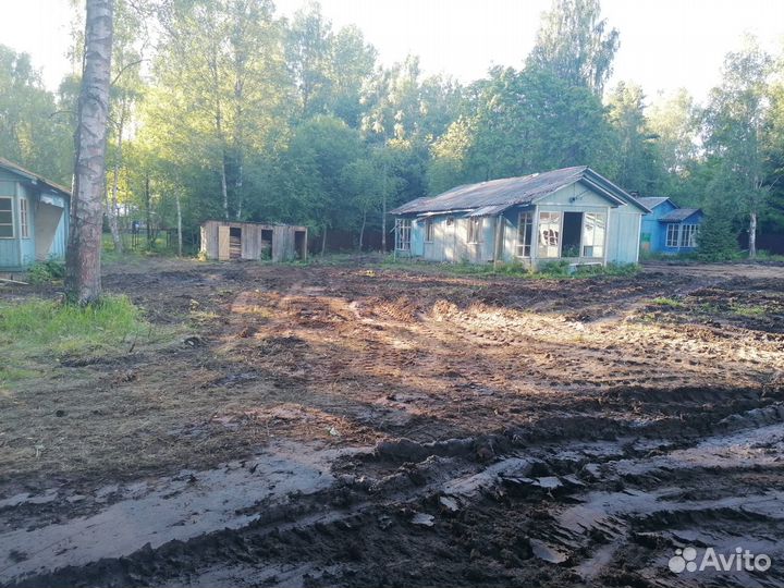 Расчистка участка от деревьев