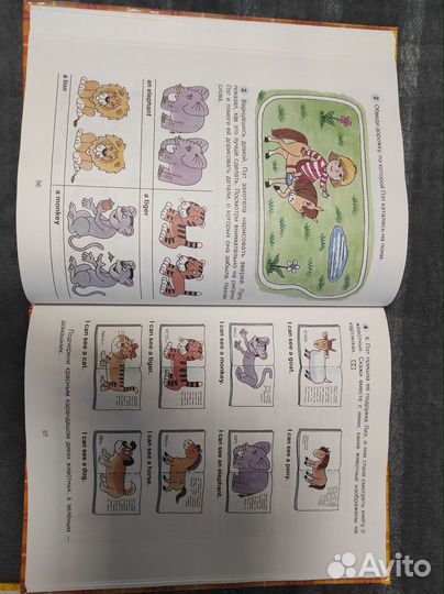 Обучающие книги