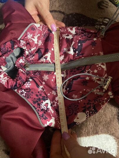 Комбинезон для собак мелких пород