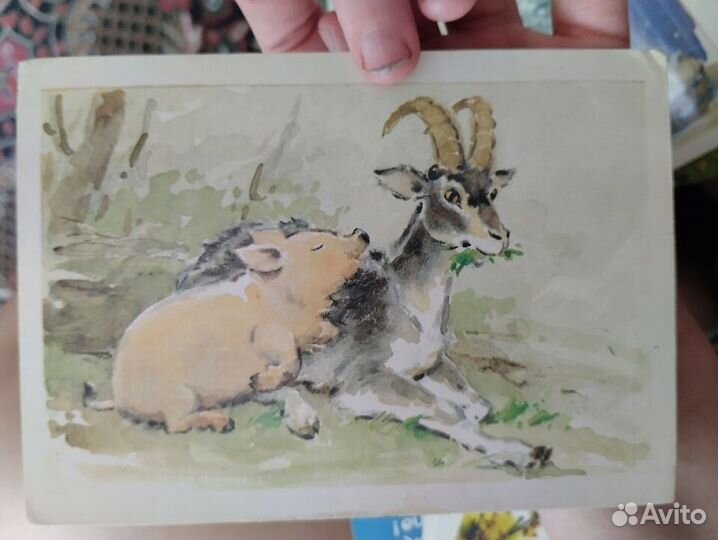 Набор открыток,открытки СССР