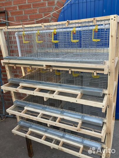 Клетка для перепелок