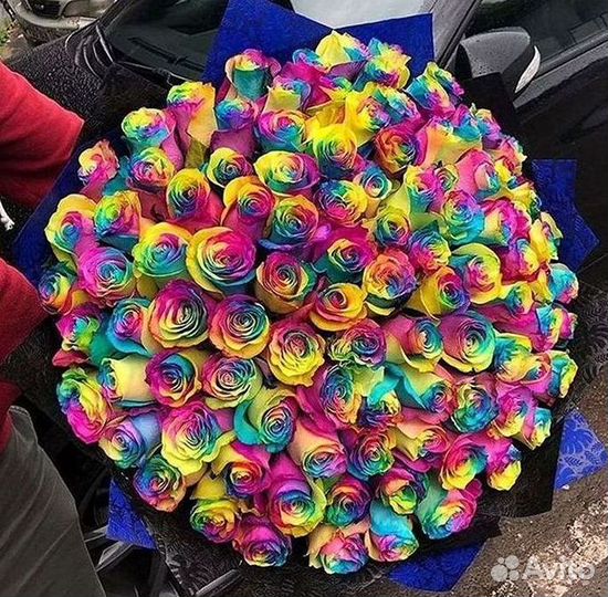 Радужные розы Цветы Доставка