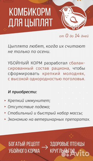 Убойный корм для цыплят