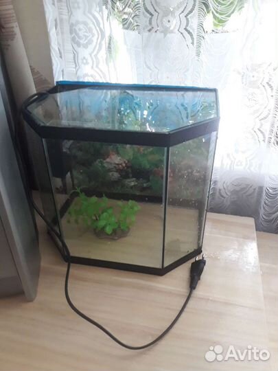 Аквариум