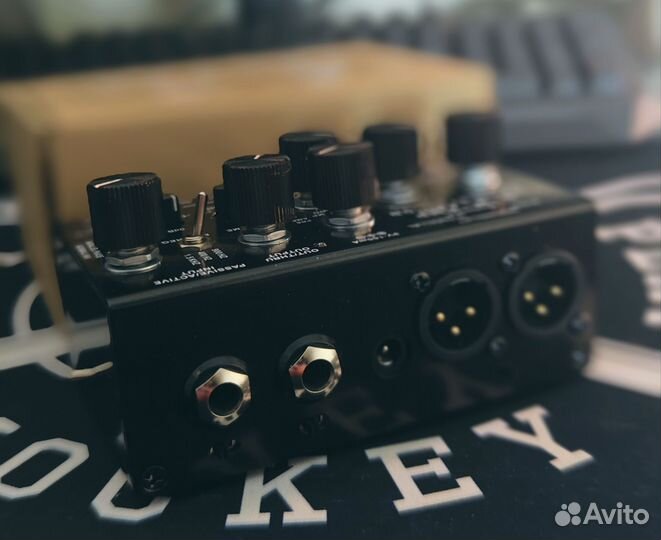 Басовый преамп с кабсимом Demonfx