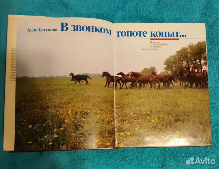 Книги о лошадях