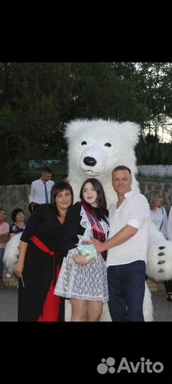 Белый мишка