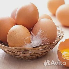 Куриное домашнее яйцо