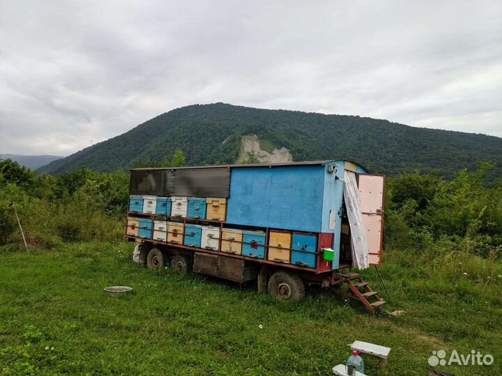Павильон для пчел и УАЗ