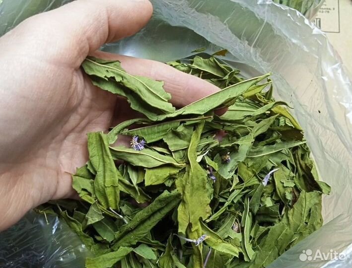 Зелёный Иван чай с цветами