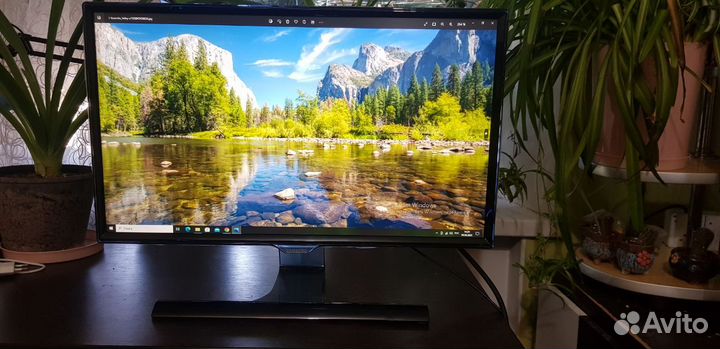 Монитор samsung S24E390