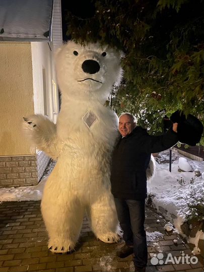 Аэрокостюм Медведя