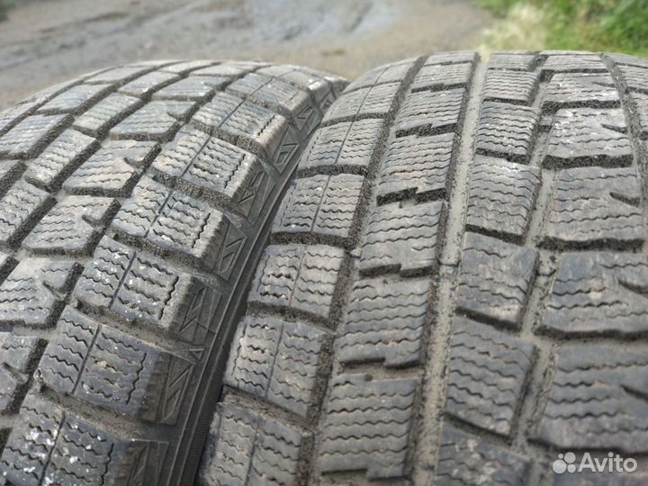 Dunlop Winter Maxx 215/60 R16 99T