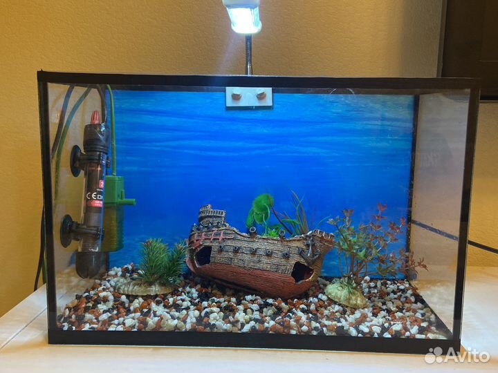 Аквариум под ключ