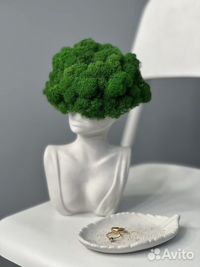 Декор для интерьера со стабилизированным мхом