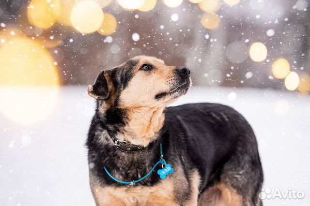 Скромный ласковый парень ищет своего человека