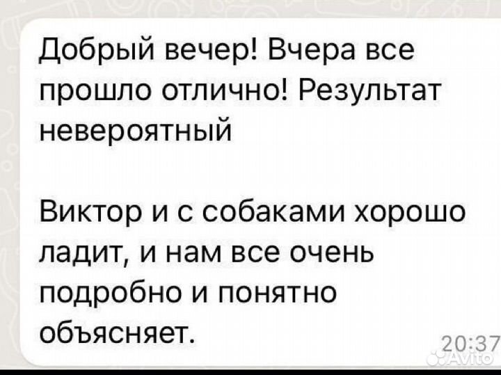 Кинолог Дрессировка Коррекция поведения