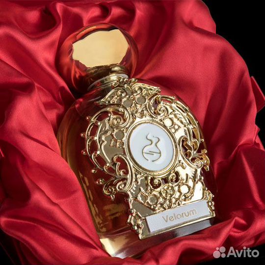 Tiziana Terenzi Velorum