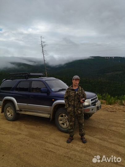 Отводы леса (изыскания, отводы и таксация )