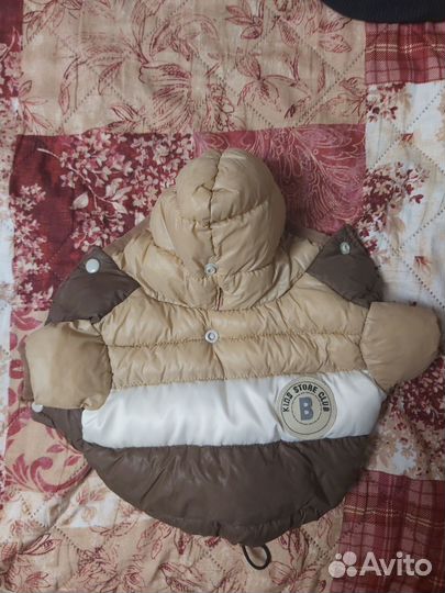 Вещи для собачки