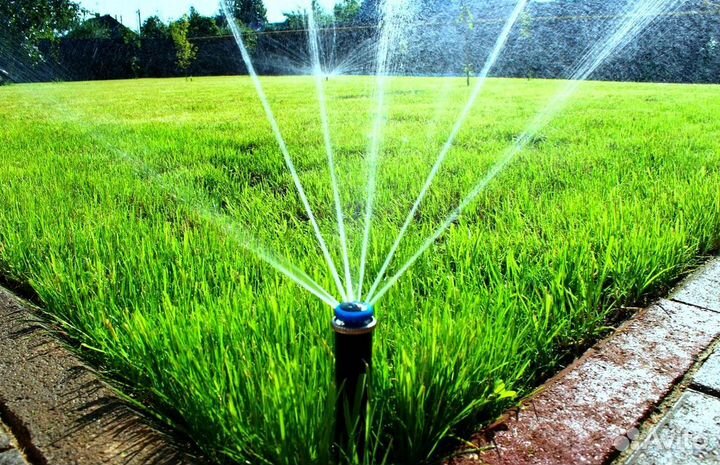 Посев газона. Семена