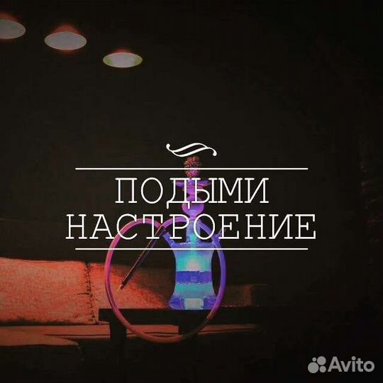 Аренда Кальяна в Сукко Утриш