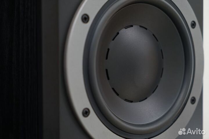 Dynaudio DM 37