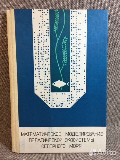 Моделирование пелагической экосистемы Северного мо