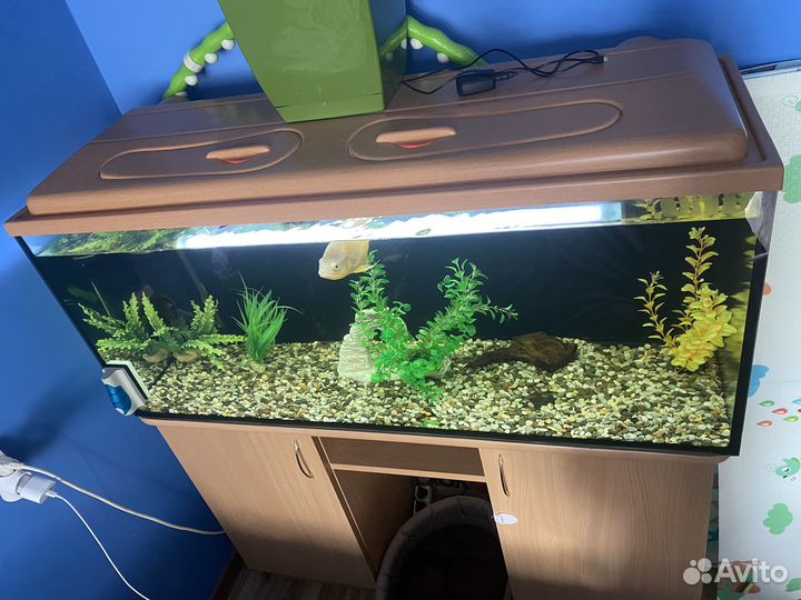 Аквариум с тумбой бу