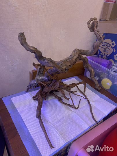 Коряги для аквариума мангры и не только